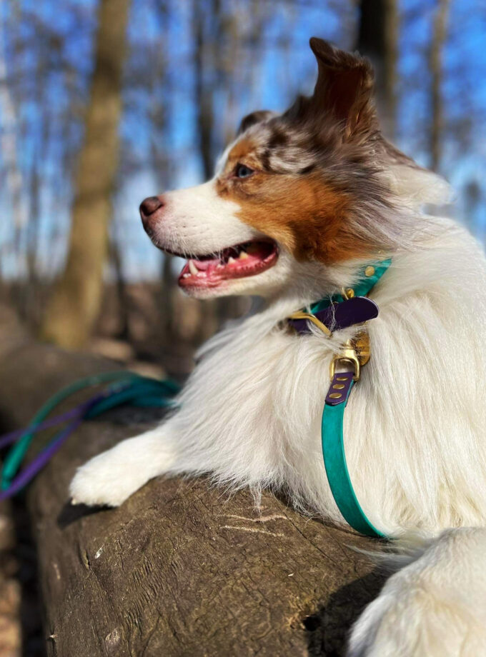 Linka Treningowa Turkus (13/16mm)