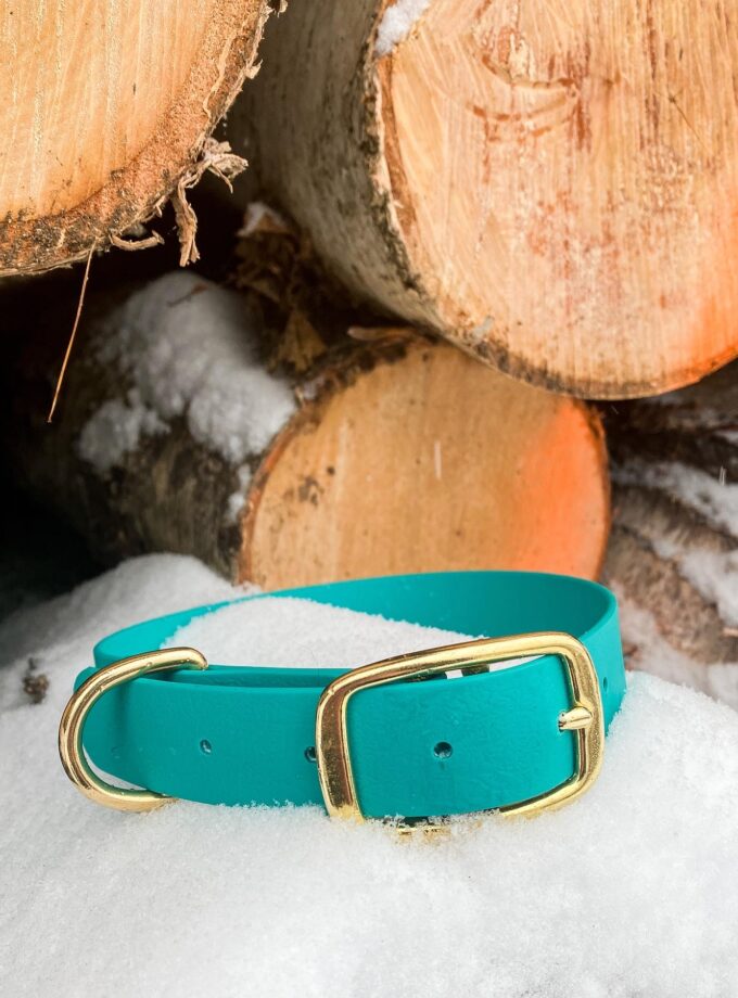 Obroża Na Sprzączkę Turkus (16/20/25mm)