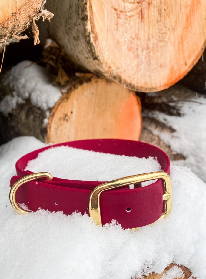 Obroża Na Sprzączkę Bordo (16/20/25mm)