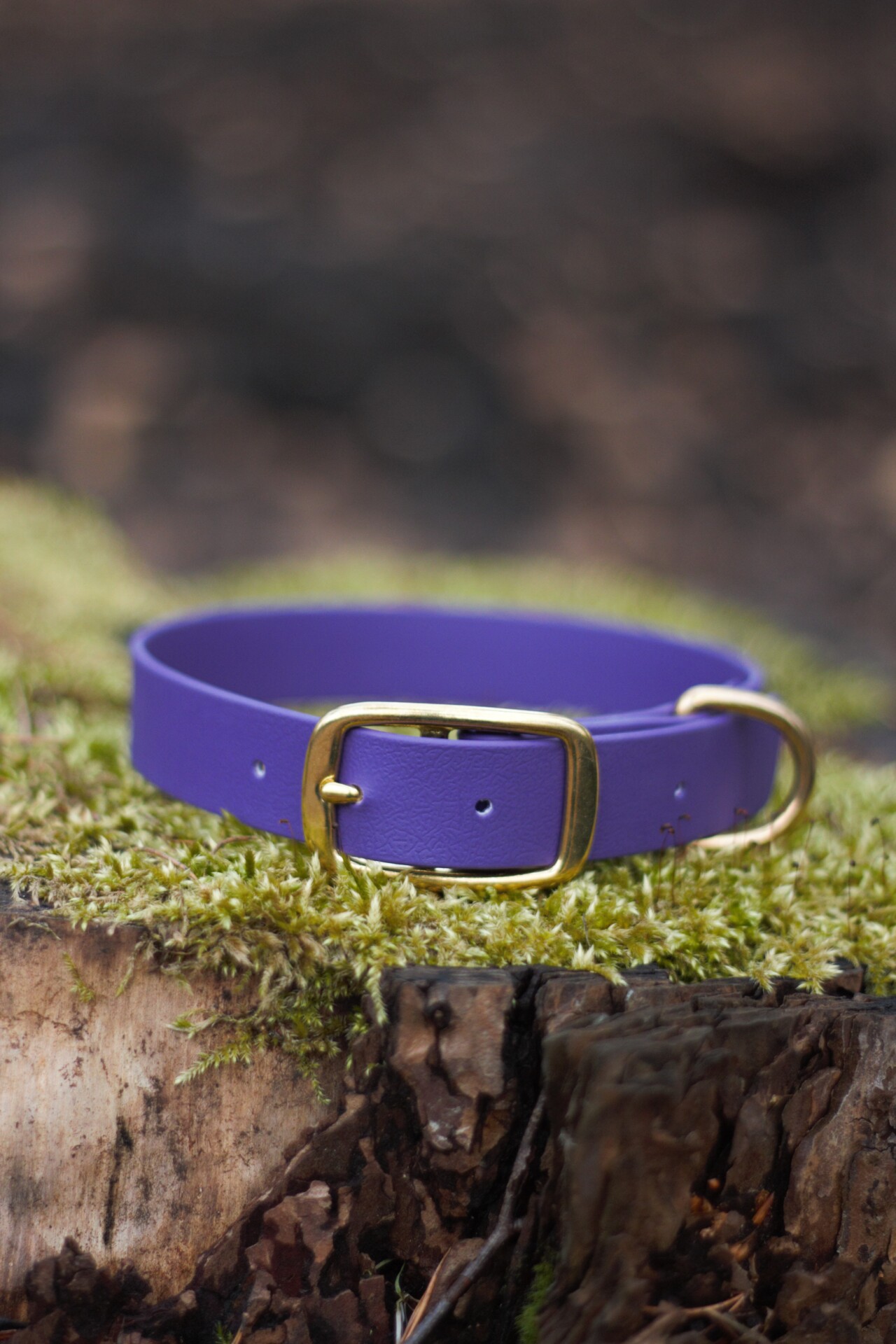 52738494632_8b449e1139_o