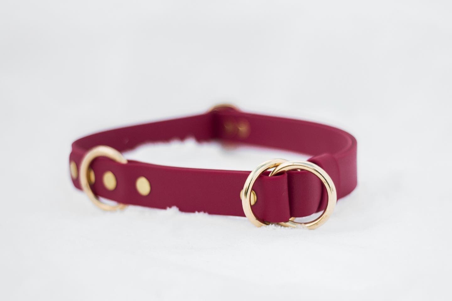 52624585629_7fbf4b7f13_o