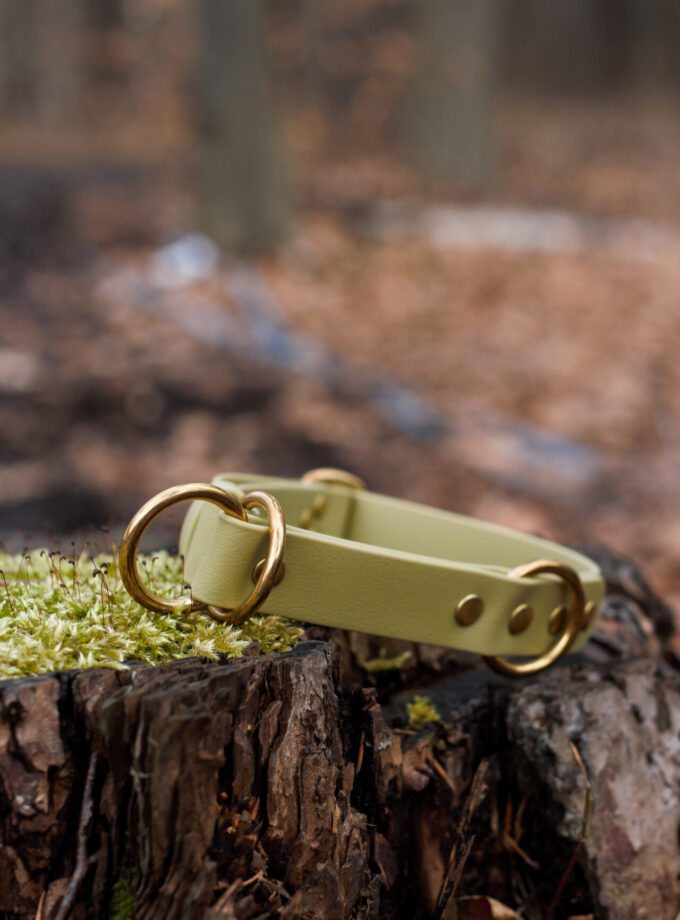 Obroża Półzaciskowa Pistacja