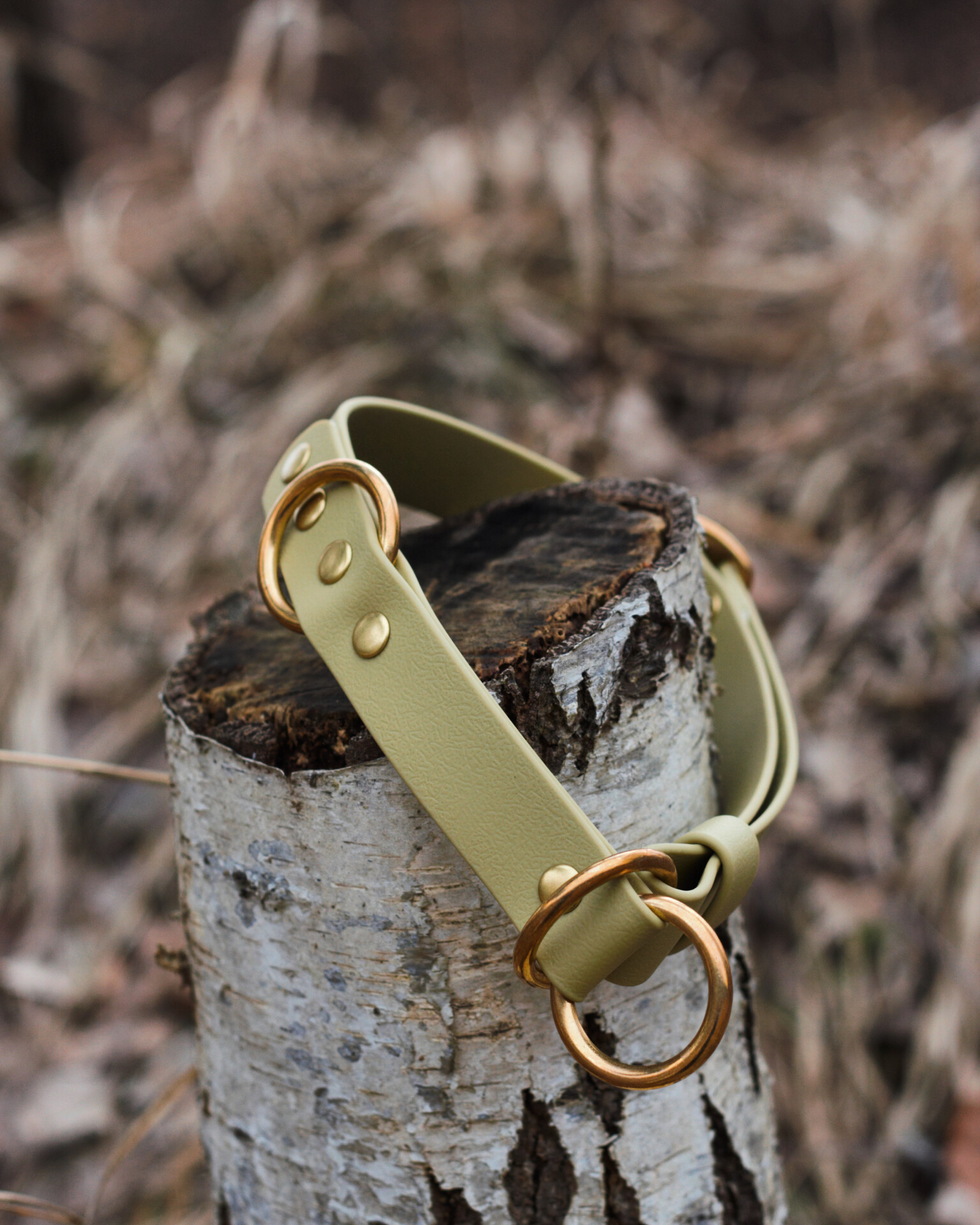 A52A5F9F-6803-4E4B-8841-A38E5DA742B4