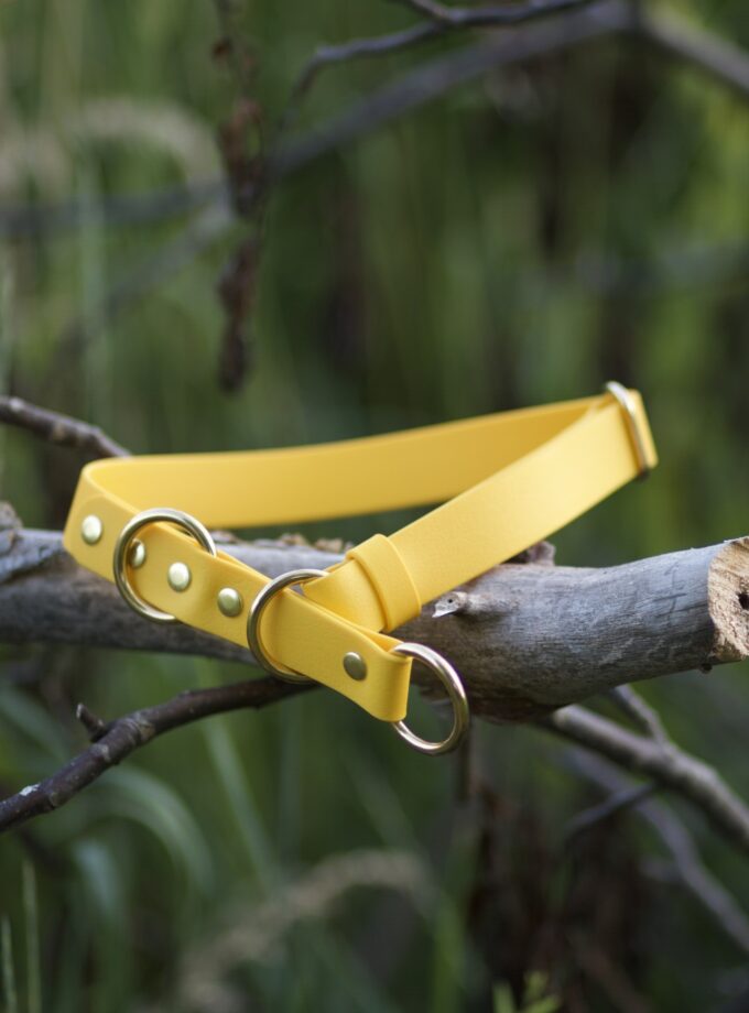 Obroża Półzaciskowa Żółty