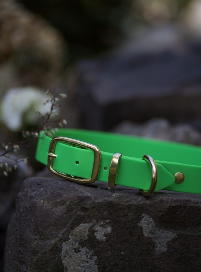 Obroża Na Sprzączkę Zielony Neon (16/20/25mm)