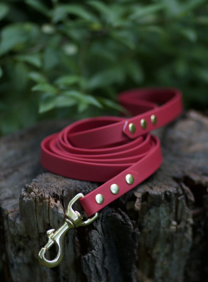 Smycz Miejska Bordo (16/20mm)