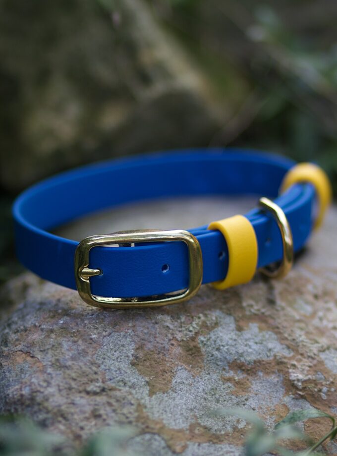 Obroża Na Sprzączkę Chabrowy (20/25mm)