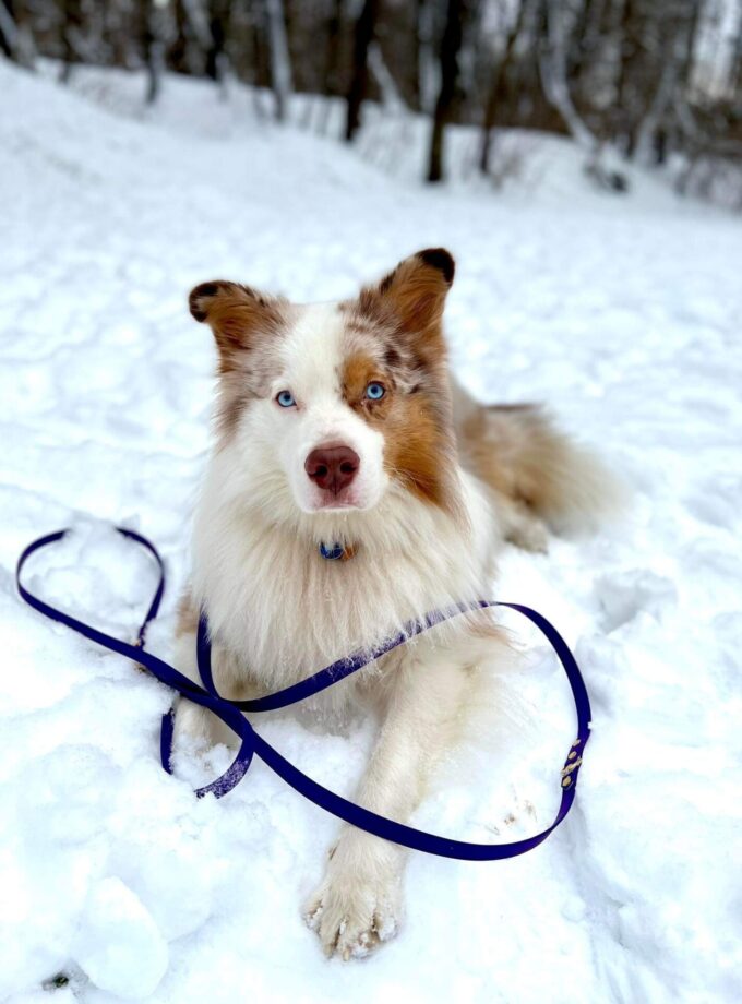 Smycz Przepinana Fiolet (16/20mm)