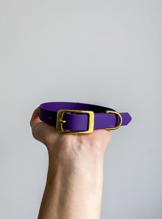 Obroża Na Sprzączkę Fiolet (16/20/25mm)