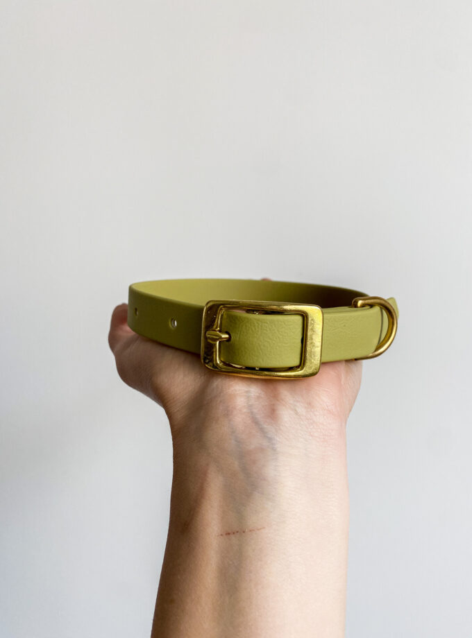 Obroża Na Sprzączkę Pistacja (16/20/25mm)