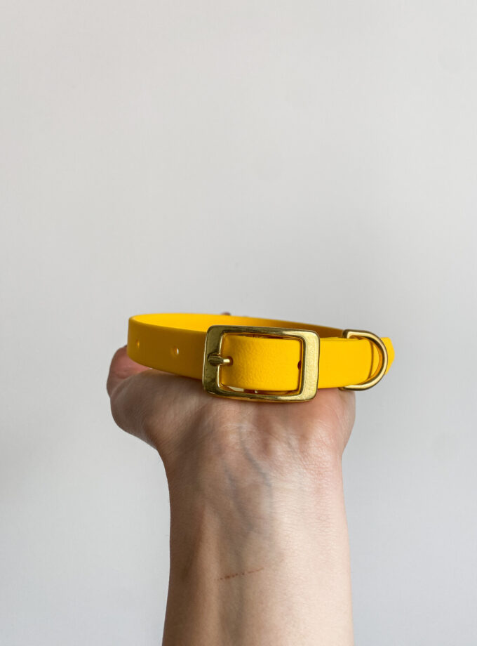 Obroża Na Sprzączkę Żółty (16/20/25mm)