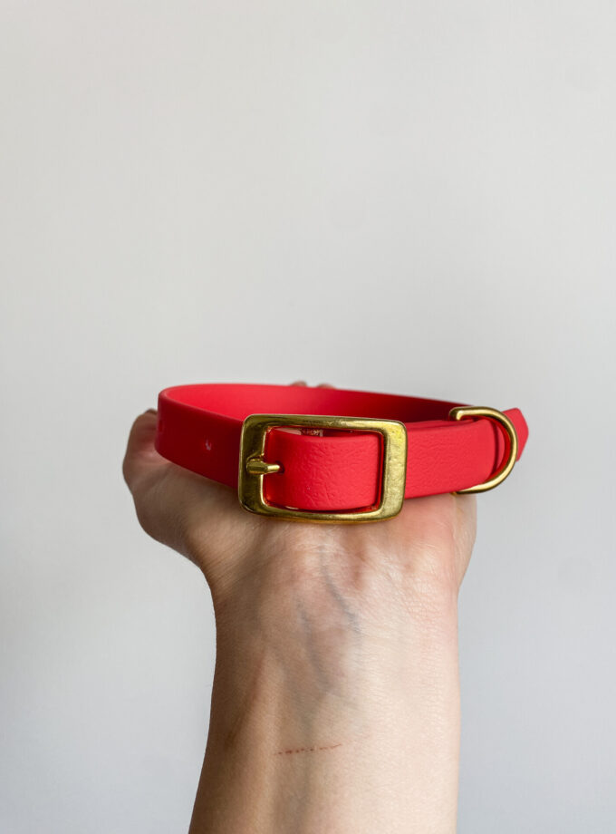 Obroża Na Sprzączkę Czerwony (16/20/25mm)
