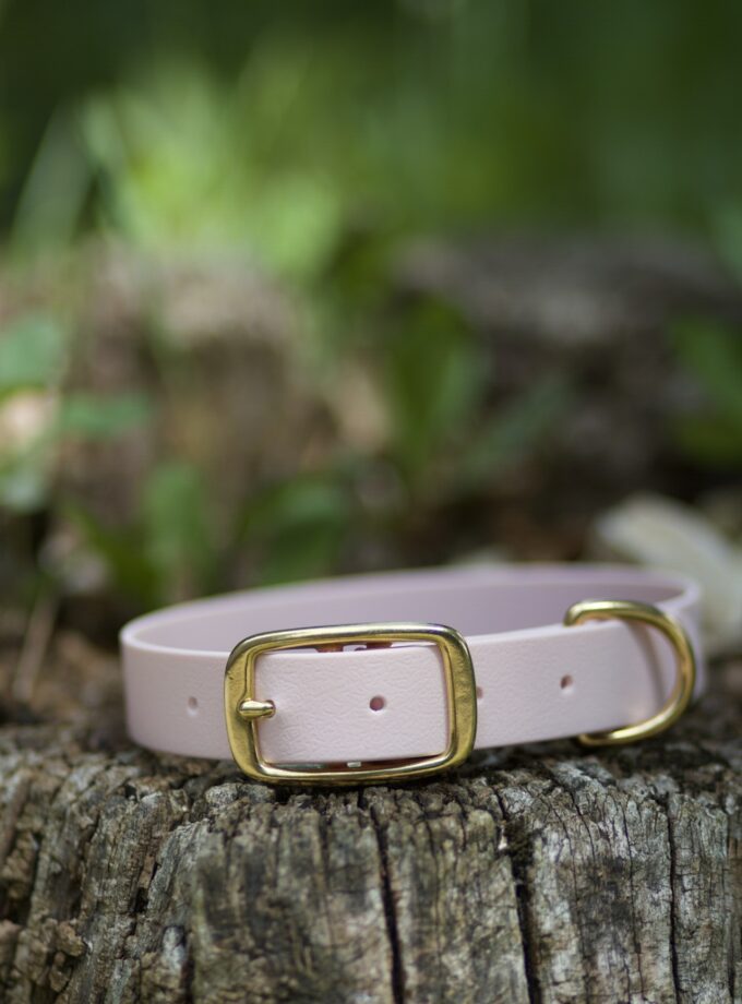 Obroża Na Sprzączkę Baby Pink (16/20/25mm)