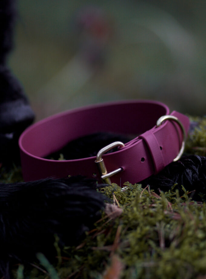 Obroża Na Sprzączkę Burgundy Blossom BioThane ®